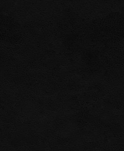 Podcast Header