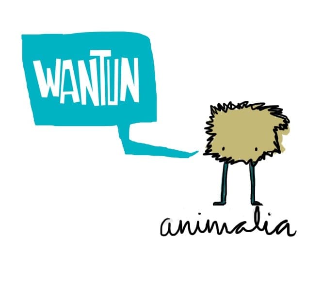 WANTUN