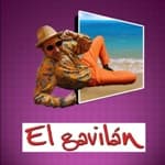 el gavilan podcast 6