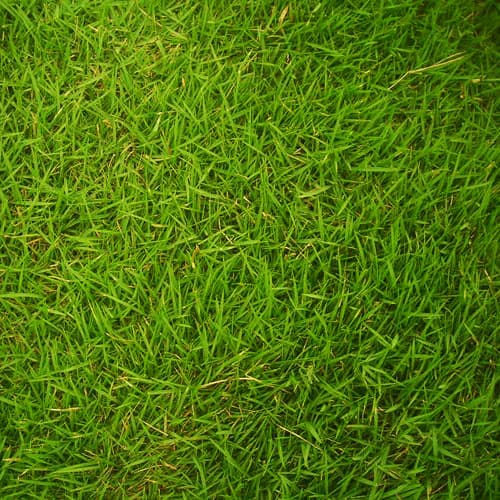 Podcast Header
