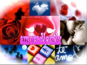**MIX DE ROSAS**