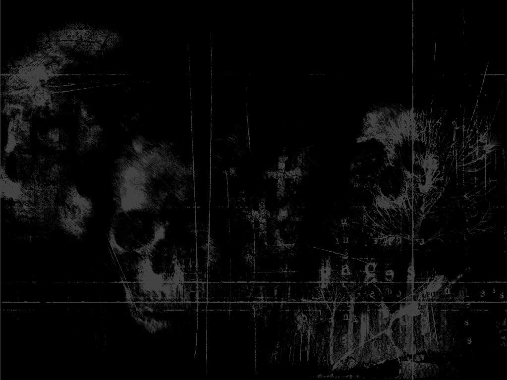 Podcast Header