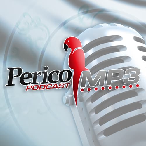 Podcast 02: Recuerdos