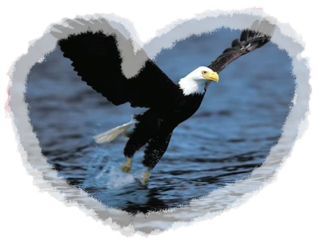 Como nos protege Dios