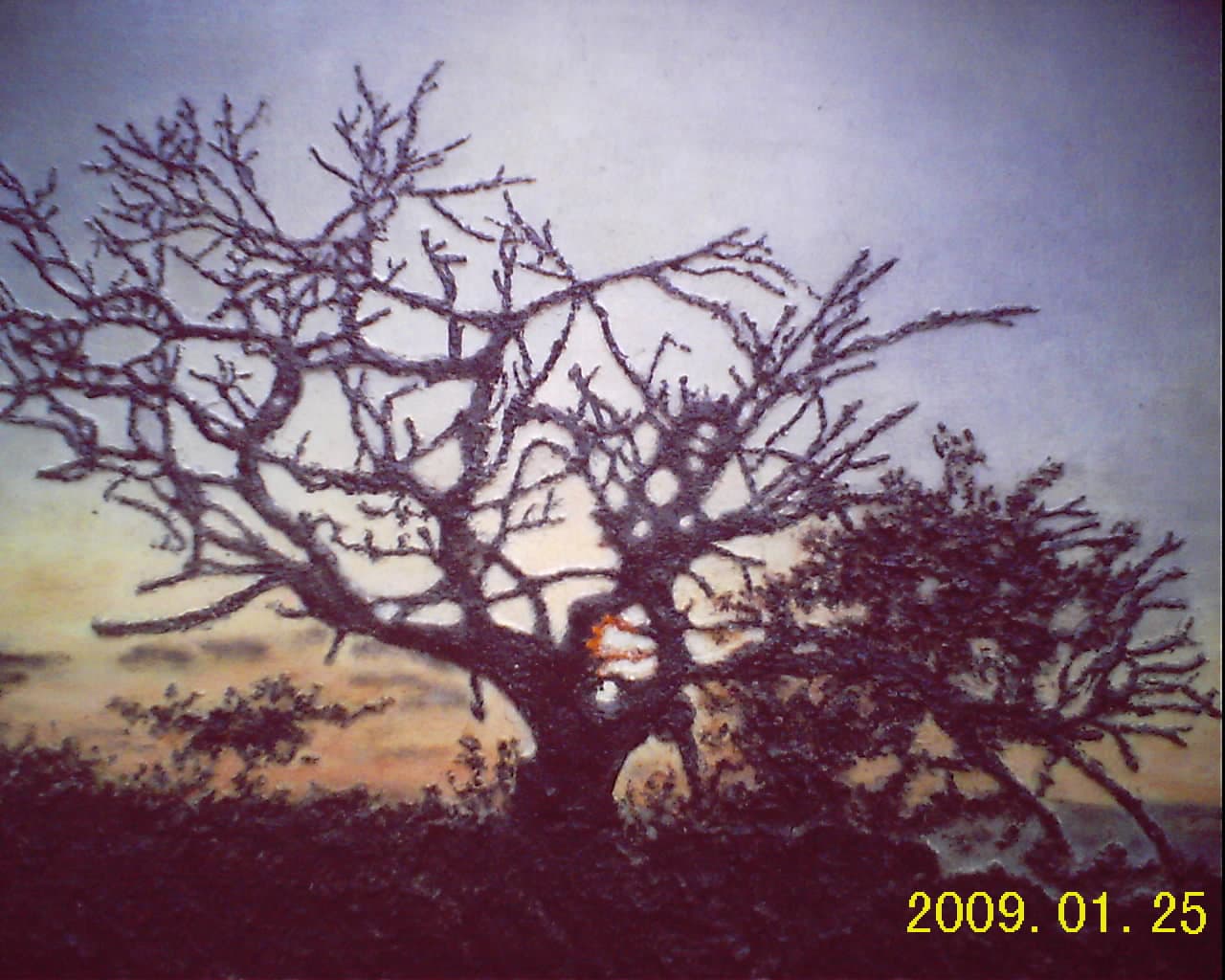 Background