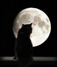 Horror Sapiens: con Suspiria (Podcast) - www.poderato.com/horrorsapiens