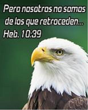 PARA LOS QUE SE CREEN ALGO MAS DE LO QUE SON