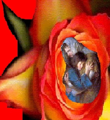 La vida en fresa-Free Life