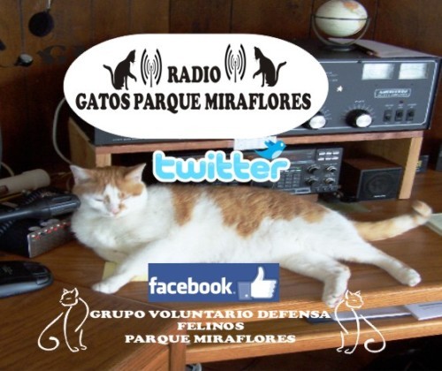 Radio Gatos Parque Miraflores (Podcast) - www.poderato.com/radiogatosparquemiraflores